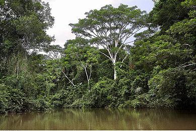 《上古卷轴5》NPC外貌Mod发布 妹子们更漂亮了